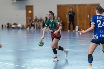 Bild 201 - F HSG Kremperheide/Muensterdorf - HSG Holstein Kiel/Kronshagen : Ergebnis: 31:26